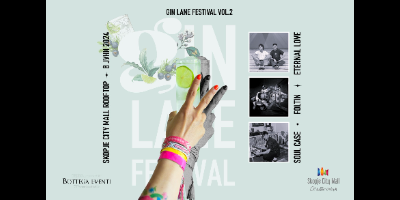 GIN-LANE-FESTIVAL-VOL.2